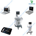 One-Shop Shopping Medical Hospital Equipment